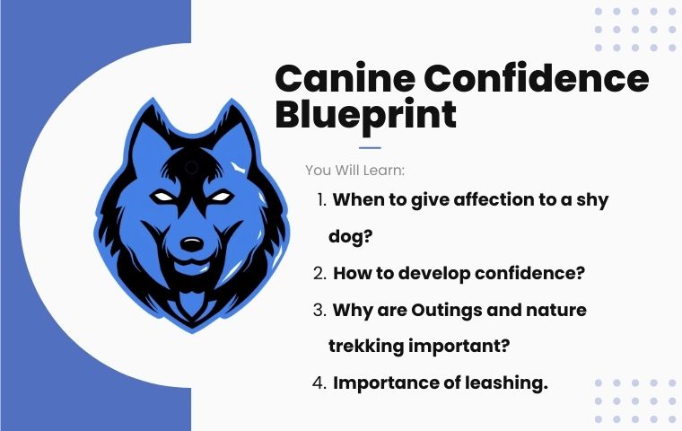 Canine Confidence Blueprint