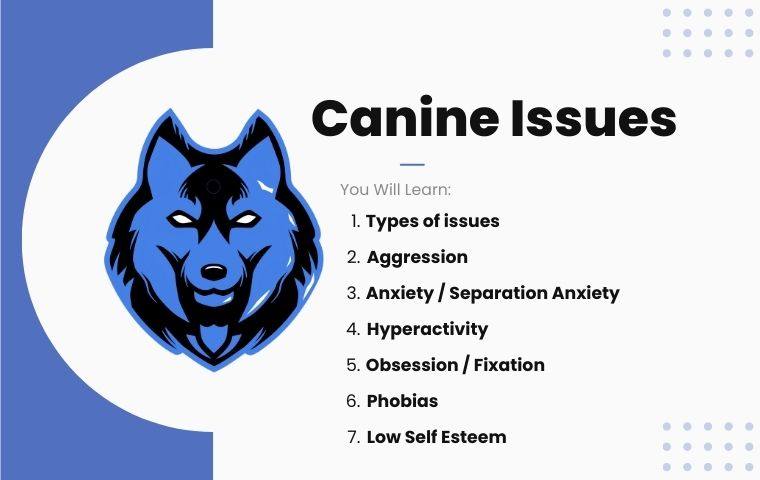 Canine Issues