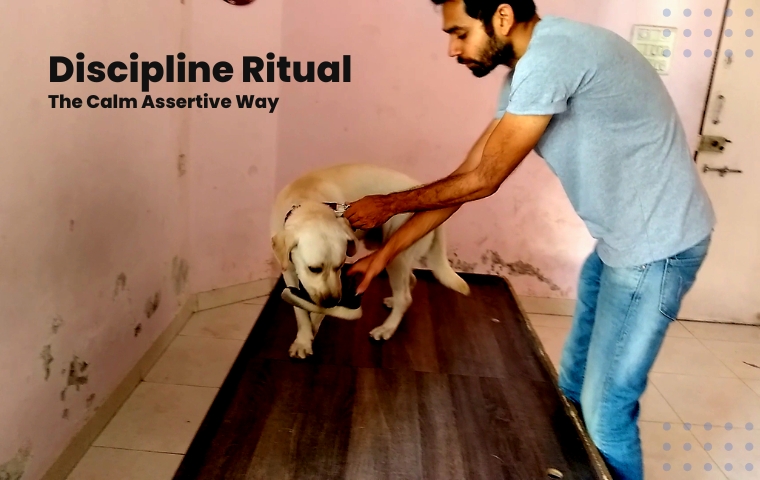 Discipline Ritual – The Calm Assertive Way